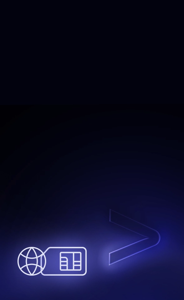 Icon representing free unlimited internet around the world, a feature of Vasco devices.